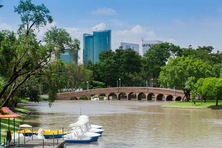 Garden in the city の写真素材