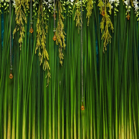 Beautiful flowers background for wedding sceneの写真素材