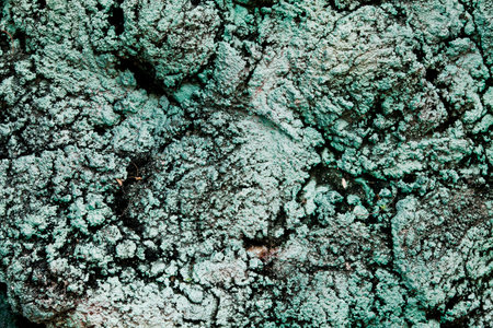 green exposed concrete wall texture wallpaper