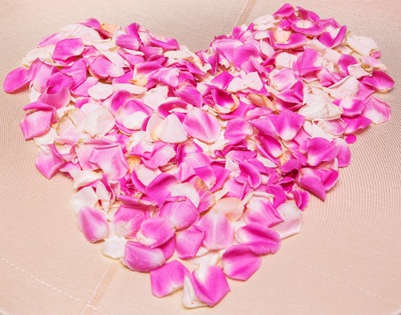 beautiful heart of red rose petalsの写真素材