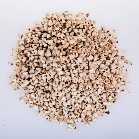 Coix lacryma-jobiの写真素材