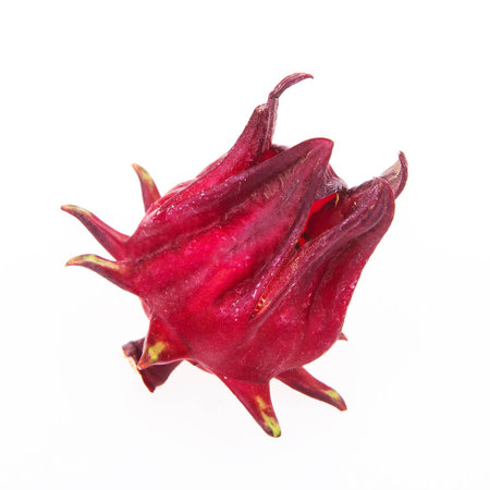Hibiscus sabdariffa or roselle fruitsの写真素材