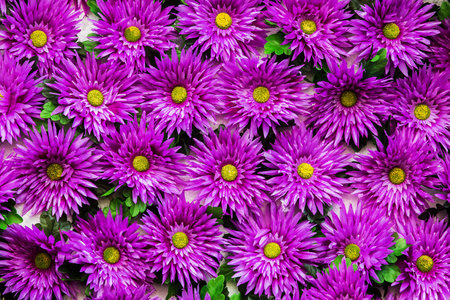 Background foliage and flowers to congratulate.