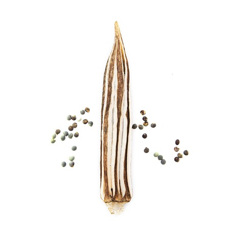 Okra Lady's Finger  on white backgroundの写真素材