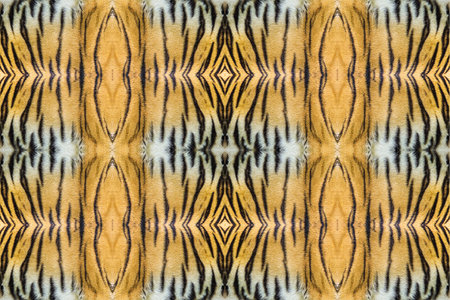texture of real tiger skin