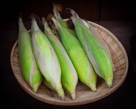 Corn, bamboo basketsの写真素材