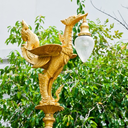 The golden swan lamp on nature backgroundの写真素材