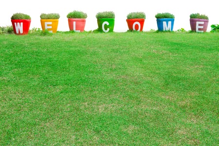 Word welcome  on colorful pot  grass backgroundの写真素材