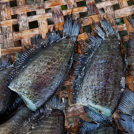 Dried fishes  famous seafood Thailand for  food preservatioの写真素材