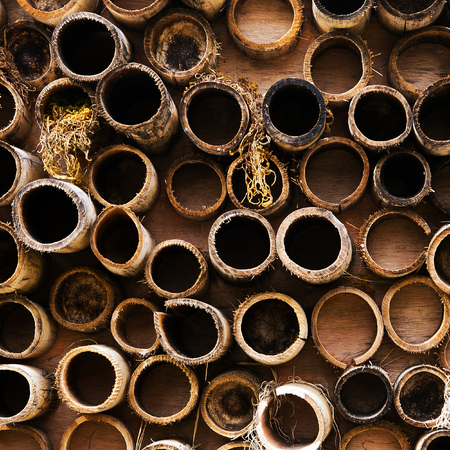 bamboo fence by nature for background and textureの写真素材