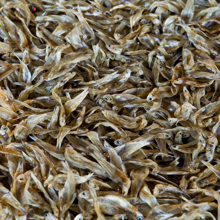 Dried small anchovies fish famous seafood Thailandの写真素材