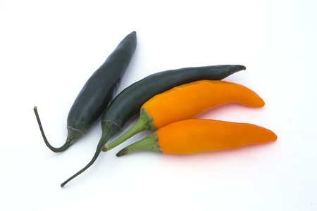 Chili pepper frorm nature  isolated on white backgroundの写真素材