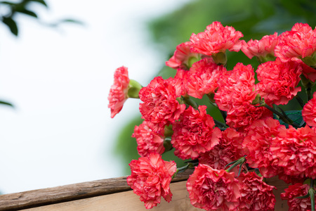 Beautiful flowers background for wedding scene and eventの写真素材