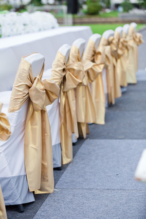 Wedding chairs in row decorated with golden color ribbonの写真素材