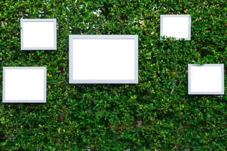 white picture frame on tree background for partyの写真素材