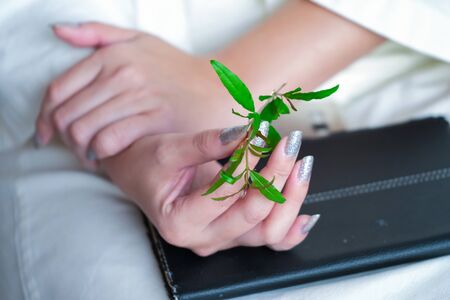 Pomegranate leaves on the bride's hand on the wedding dayの写真素材