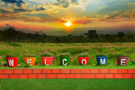 Welcome word made from Jardiniere on the background is a field of Tulip Siam at sunrise.の写真素材