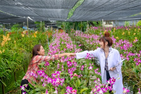 Handshaking of researchers and orchid garden ownersの写真素材