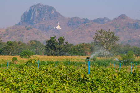 Plastic springer watering the trees in the gardenの写真素材