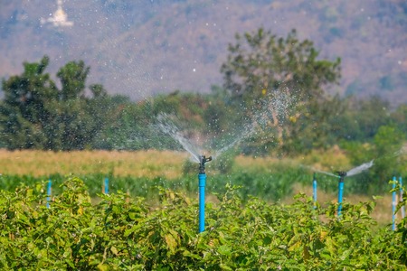 Plastic springer watering the trees in the gardenの写真素材