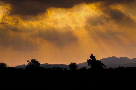 Cowboy silhouette on a horse during nice sunset