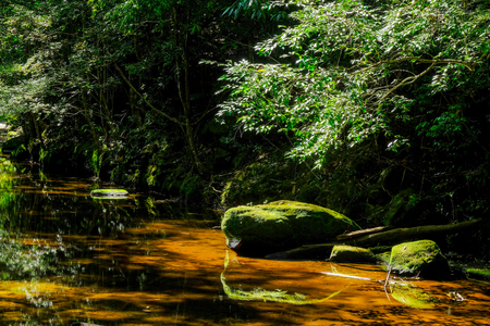 Rocks with moss in the stream in the tropical rainforestの写真素材