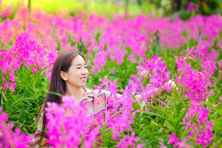 Women Asian cutting pink orchids in the garden for sale With a happy smileの写真素材