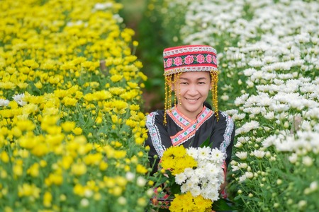 Indigenous people in northern Thailand and the collection of chrysanthemums in the gardenの写真素材