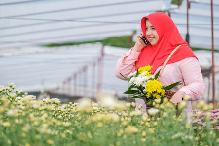 Muslim people and chrysanthemum collection in the gardenの写真素材