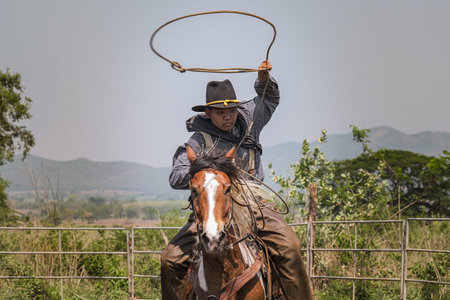 Cowboys on horseback are throwing rope to catch cows in the ranch.