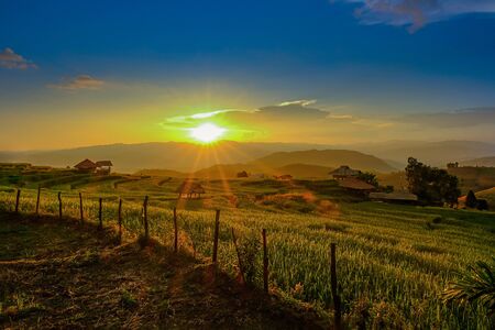 Landscape view of green terraced rice field in Pa Pong Pieng , Mae Chaem, Chiang Mai, Thailand on sunset time.の写真素材