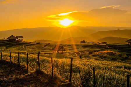 Landscape view of green terraced rice field in Pa Pong Pieng , Mae Chaem, Chiang Mai, Thailand on sunset time.の写真素材