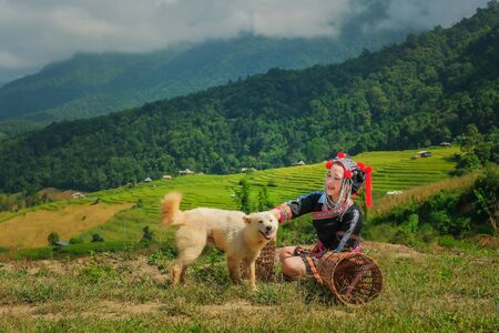 A beautiful farmer girl with straw in rice fields in northern Thailand.の写真素材