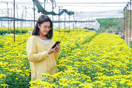 An Asian woman was walking to take a picture of a yellow chrysanthemum in the garden.