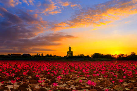 Red lotus flower and big Buddha statue at sunsetの写真素材