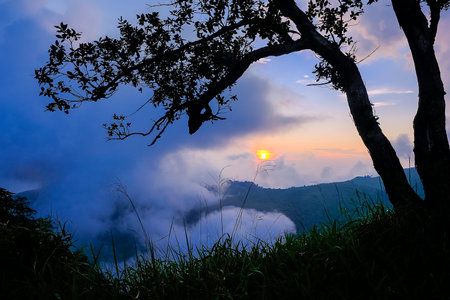 Sunset in the forest of Phu Soi Dao National Park in Thailand.
