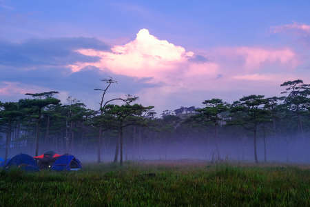 A camping ground for the sunrise in the forest at Phu Soi Dao National Park in Thailand.の写真素材