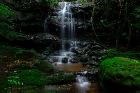 Saithip waterfall are some of the attractions of the park. Beautiful waterfall in deep forest of Phu...