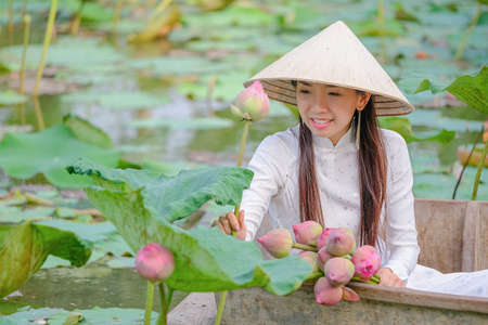 Vietnamese girl picking lotus flowers in pondの写真素材