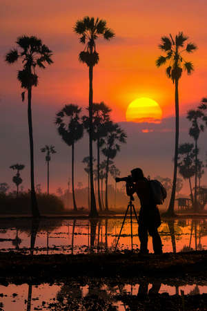 Silhouette of a woman photographer in a palm tree garden at sunriseの写真素材