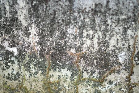 White old cement wall concrete backgrounds textured. Abstract vintage texture. Background from cracks, breaks, stains. Grunge cracks, damageの写真素材