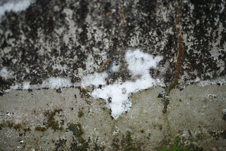 White old cement wall concrete backgrounds textured. Abstract vintage texture. Background from cracks, breaks, stains. Grunge cracks, damageの写真素材