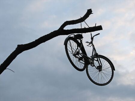 Strange bike up on a treeの写真素材