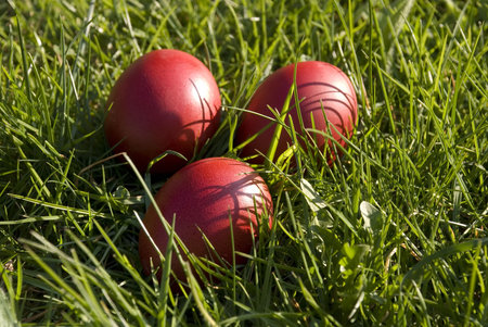 Three red Easter eggs in the grass