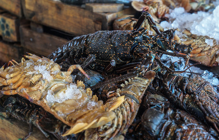 Diverse lobster on the market near the sea, the ocean. Old stalls with fresh marine living crayfish. Asia culture and traditions. Stock photosの写真素材