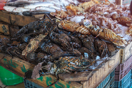 Diverse lobster on the market near the sea, the ocean. Old stalls with fresh marine living crayfish. Asia culture and traditions. Stock photosの写真素材