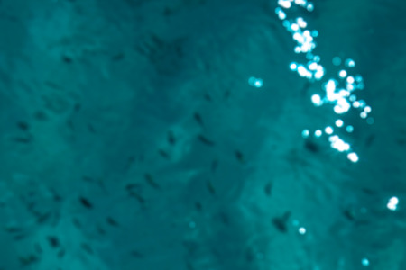 Beautiful blue sea transparent surface with fish. Oceanic fish theme for background. Stock photo for tourist designの写真素材