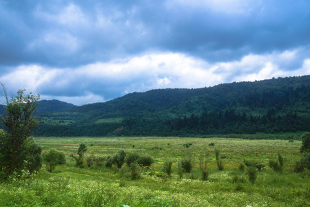 Views of the mountains from the road in Europe. Misty landscape of beautiful autumn.   for designの写真素材