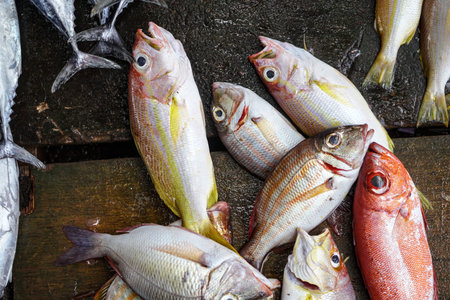 Fish market in Asia. Catching sea and ocean animals in the Indian Ocean. Tuna on shelves for sale....