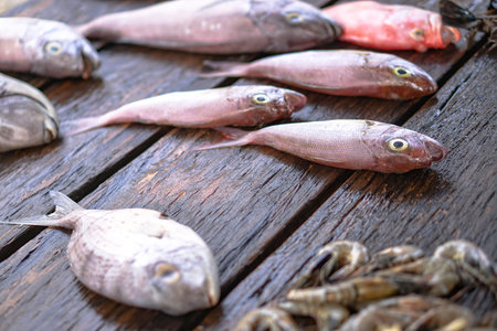 Fish market in Asia. Catching sea and ocean animals in the Indian Ocean. Tuna on shelves for sale....